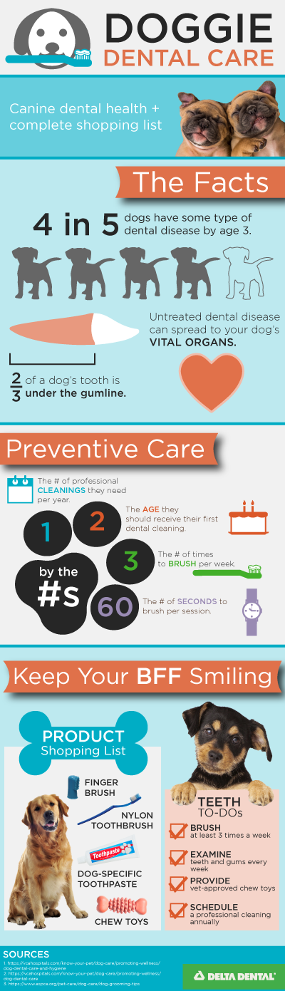 canine dental health