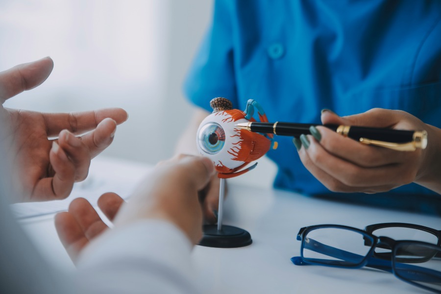 3D model of an eye
