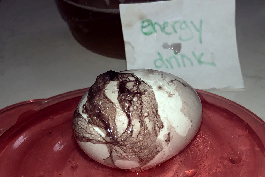An eggshell's outer layers peel off, dyed purple after soaking in an energy drink overnight.