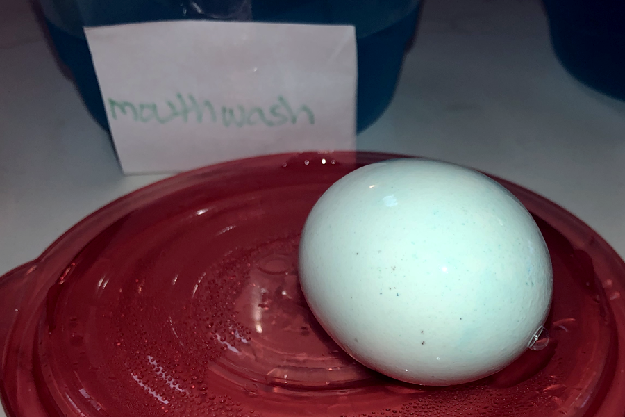 An eggshell isn't stained after soaking in mouthwash overnight.