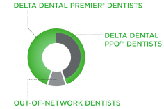 dentist network chart