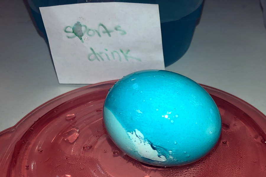 An eggshell is stained bright blue after soaking in a sports drink overnight.