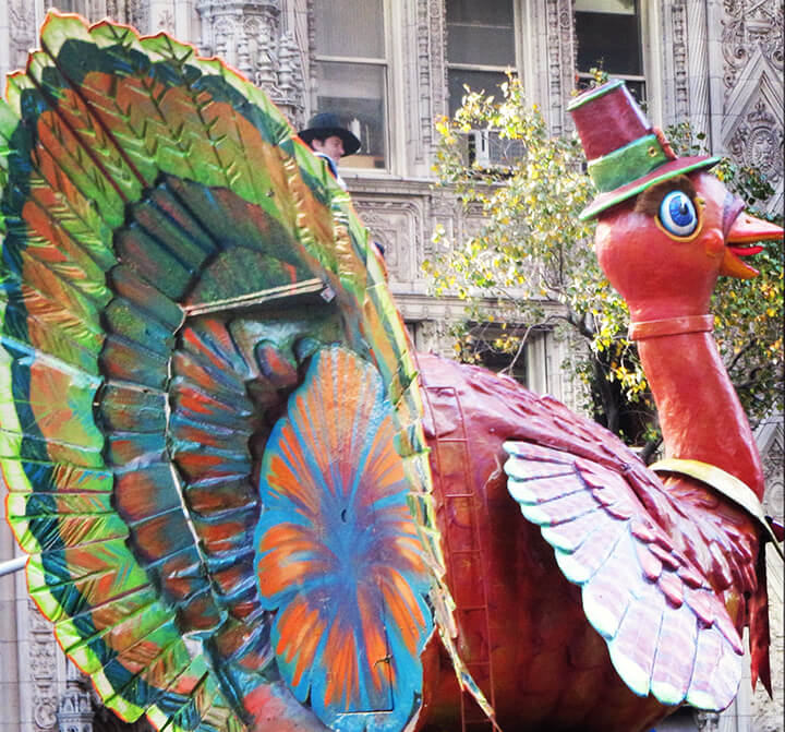 Tom the Turkey is a colorful, animatronic turkey with two pilgrims that ride atop him.