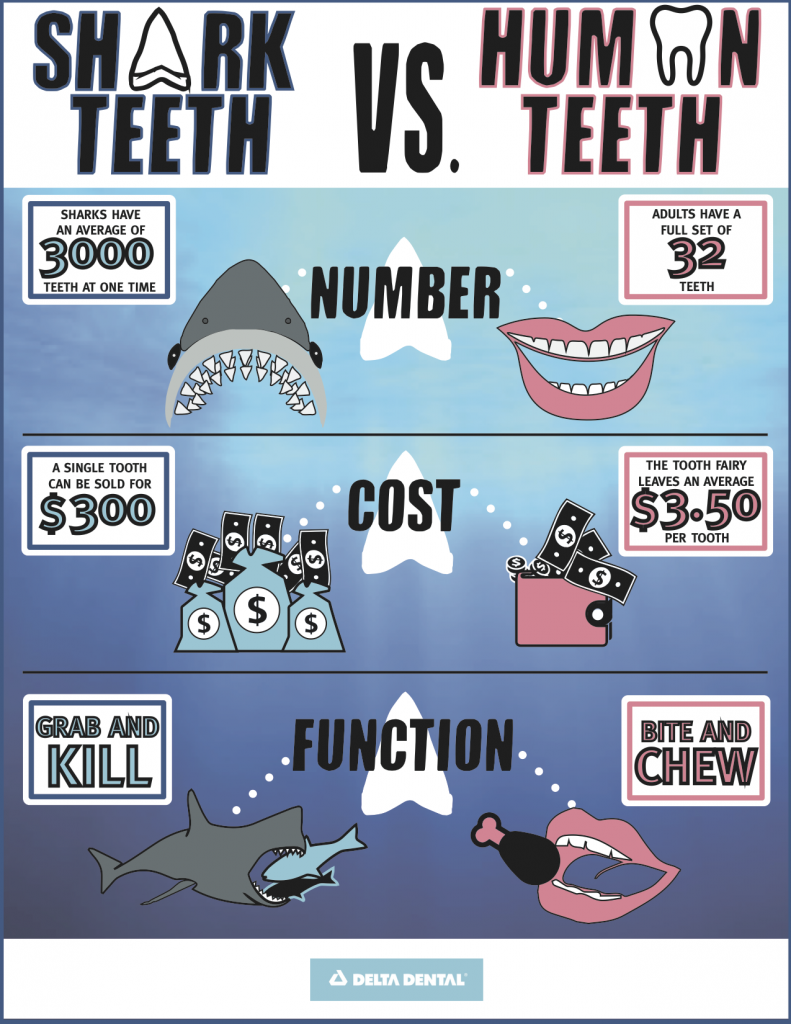 Shark Week Infographic V3 BIG