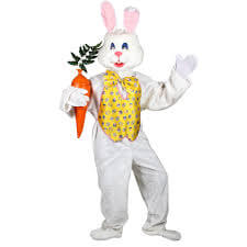 bunny